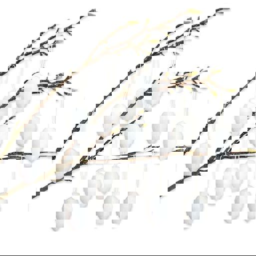 14 weiße Pappmaché-Eier mit Aufhänger - Perfekt für Osterdeko 14 weiße Pappmaché-Eier mit Aufhänger - Perfekt für Osterdeko