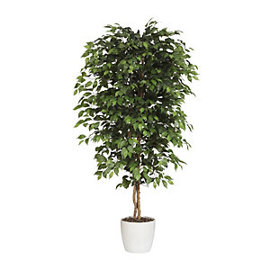 Ficus Benjamina Kunstbaum mit Naturstamm und Keramiktopf - Höhe 120 cm Ficus Benjamina Kunstbaum mit Naturstamm und Keramiktopf - Höhe 120 cm
