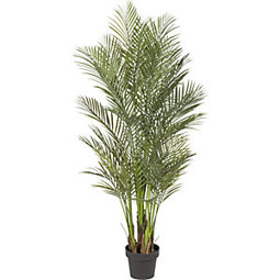 Arecapalme Kunstbaum - 160 cm hoch im Kunststofftopf Arecapalme Kunstbaum - 160 cm hoch im Kunststofftopf
