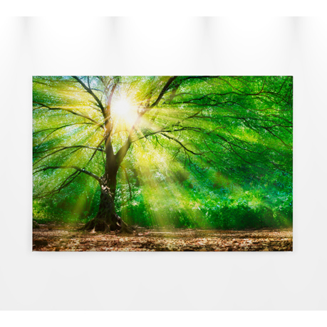 Leinwandbild "ForestLight" - Waldmotiv in Grün und Braun - 90 x 60 cm - Naturdekor für die Wand Leinwandbild "ForestLight" - Waldmotiv in Grün und Braun - 90 x 60 cm - Naturdekor für die Wand