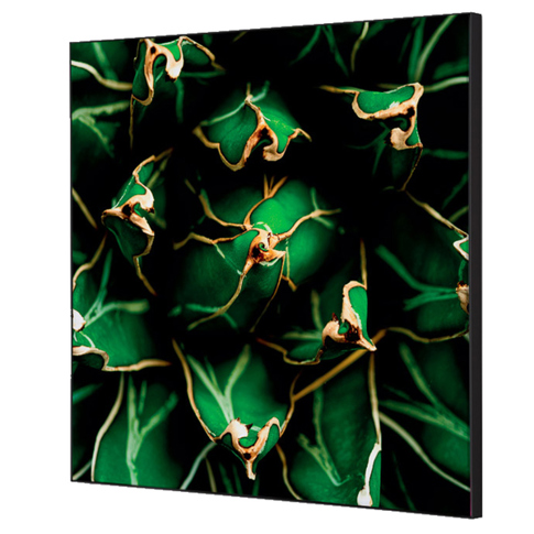 Showdown Kaktus Wanddekoration Set 40x40 cm Showdown Kaktus Wanddekoration Set 40x40 cm