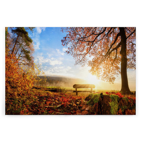 Leinwandbild 'Herbstmorgen im Laubwald' - Naturmotiv in Braun und Grün, 120 cm x 80 cm | Wandbild