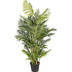 Arecapalme Kunstbaum - Real Touch - Kunststofftopf - Höhe 170 cm Arecapalme Kunstbaum - Real Touch - Kunststofftopf - Höhe 170 cm