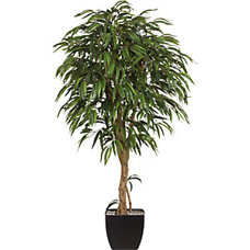 Eleganter Weeping Ficus Kunstbaum mit Naturstamm - Höhe 180 cm, 1368 Blätter